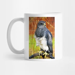 Chilean Eagle Black Chested Buzzard Mug